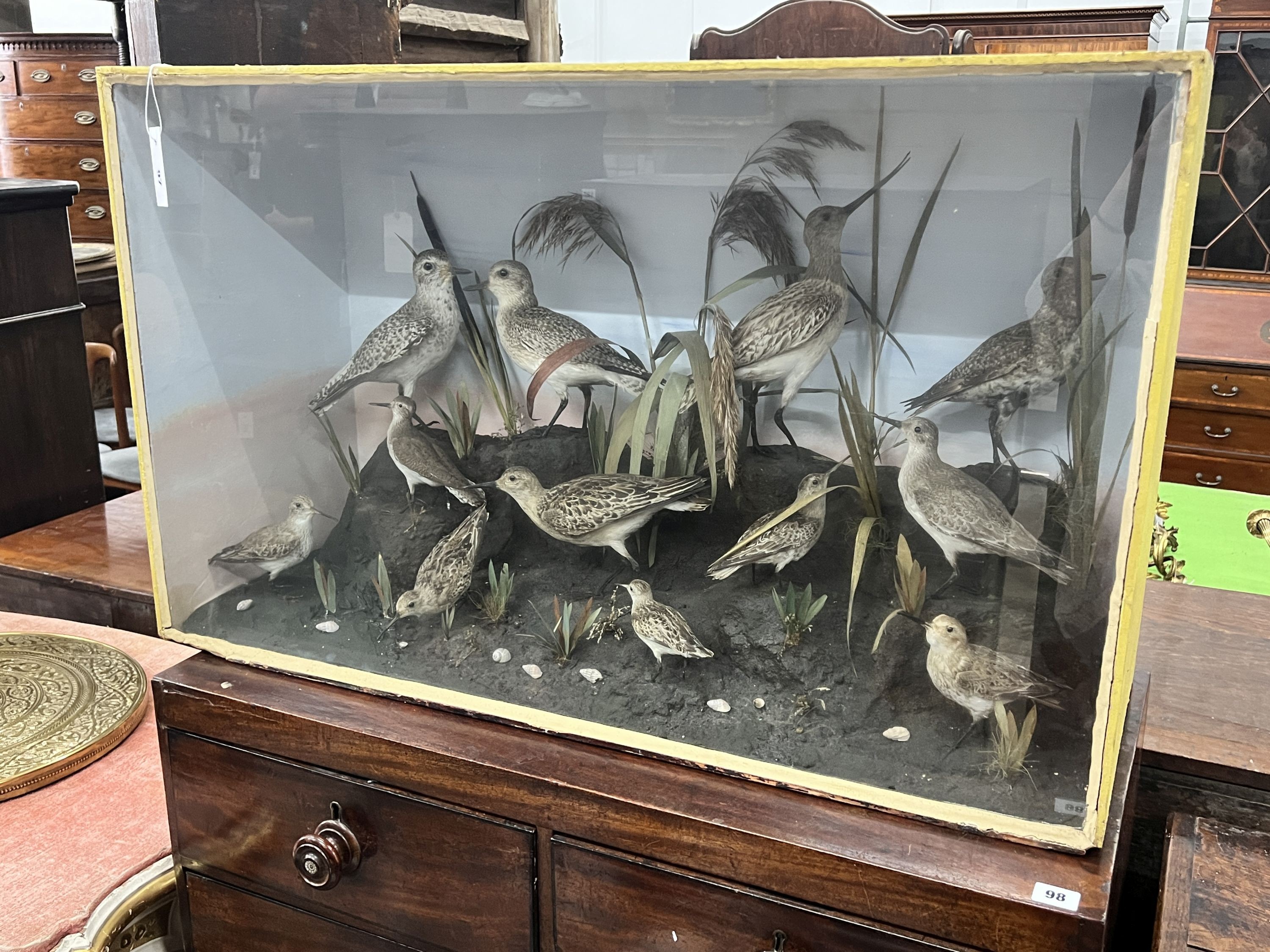 A late Victorian cased taxidermic display of assorted British water birds, case length 94cm, depth 35cm, height 58cm